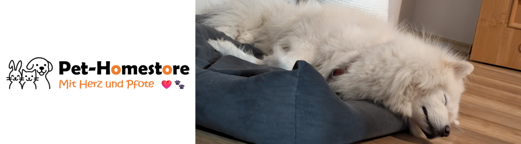 Hund schläft im Hundebett